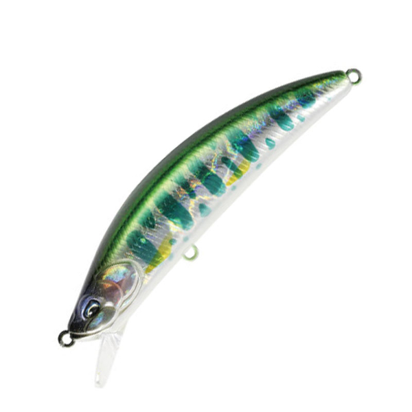 鬼鱒　神楽　88F(ＡＤＡ４５１３　山女)